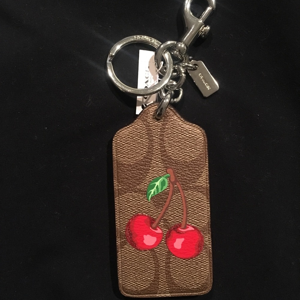 COACH keychain